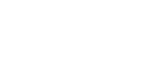Griffin Interactive